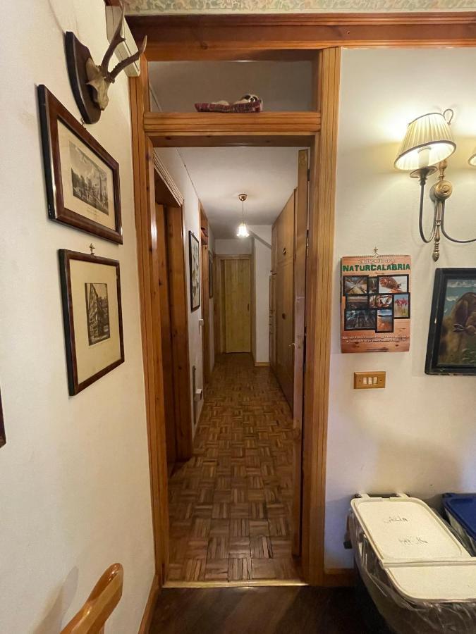 La Veranda Nella Neve - Camigliatello Silano Exterior foto